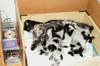 /album/fotogalerie/stenatka-1-mesic-053-jpg/